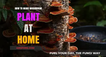 Grow Your Own Mushrooms: A Simple Home Cultivation Guide