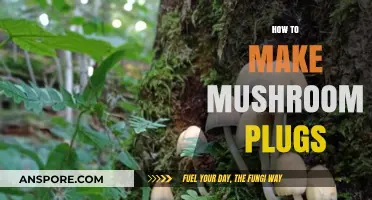 Mastering Mushroom Cultivation: A Step-by-Step Guide to Making Plugs