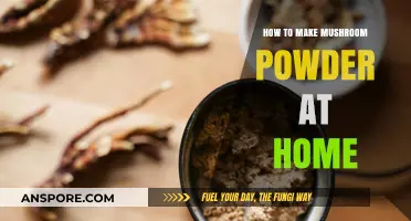 Easy Homemade Mushroom Powder: A Step-by-Step Guide to DIY Flavor