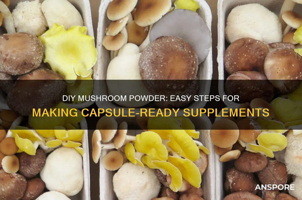 how to make mushroom powder for capsuls