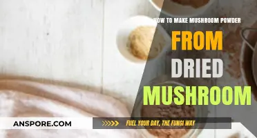 Easy DIY Mushroom Powder: Transform Dried Mushrooms into Flavorful Seasoning