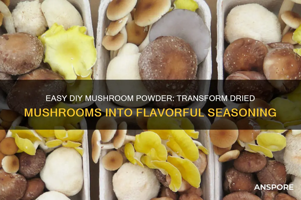 how to make mushroom powder from dried mushrooms