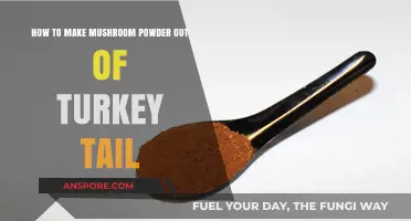 DIY Turkey Tail Mushroom Powder: A Simple Step-by-Step Guide