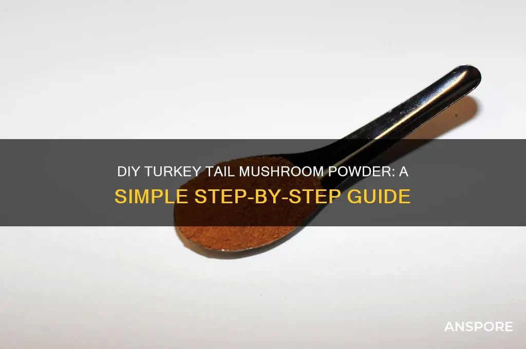 how to make mushroom powder out of turkey tail