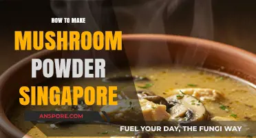 Mastering Mushroom Powder: A Singaporean Guide to Flavorful Cooking