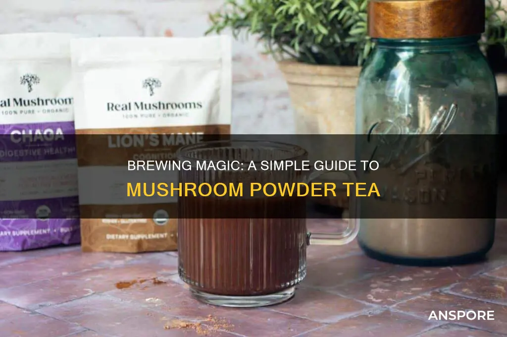 how to make mushroom powder tea
