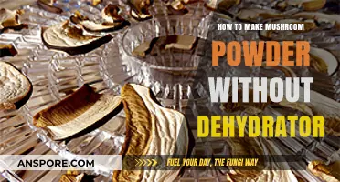 Easy Homemade Mushroom Powder: No Dehydrator Required, Simple Steps