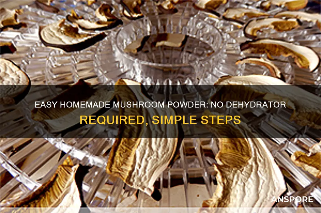 how to make mushroom powder without dehydrator
