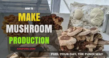 Mastering Mushroom Production: A Step-by-Step Guide to Growing Success