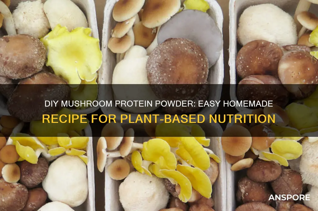 how to make mushroom protein powder