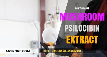 Crafting Psilocybin Mushroom Extract: A Comprehensive Step-by-Step Guide