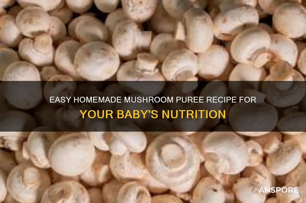 how to make mushroom puree for baby