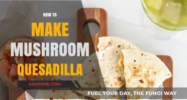 Easy Mushroom Quesadilla Recipe: Quick, Cheesy, and Flavorful Snack Idea