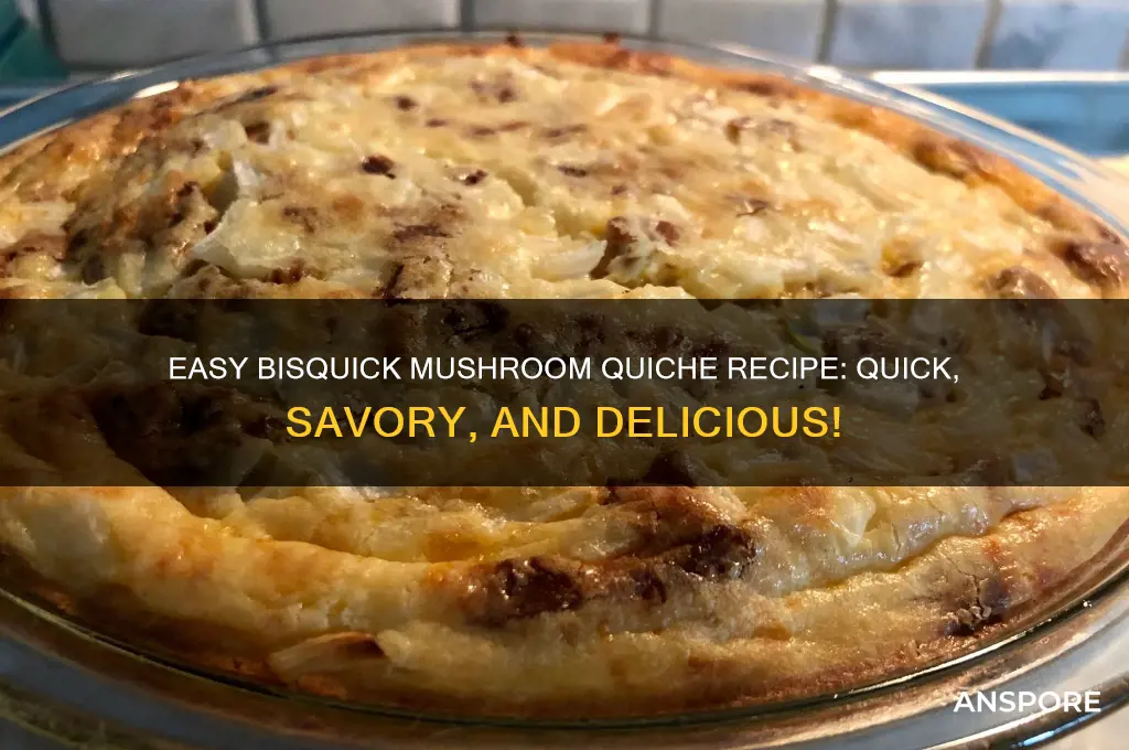 how to make mushroom quiche with bisquick
