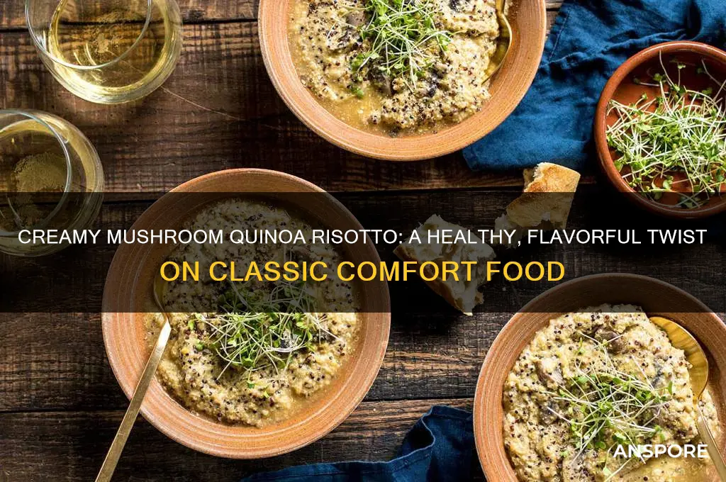 how to make mushroom quinoa risotto