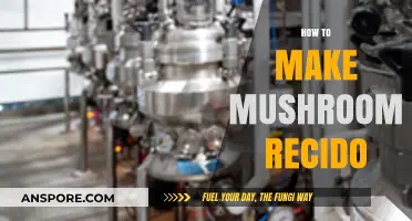 Mastering Mushroom Recido: Simple Steps for Delicious Homemade Fermentation