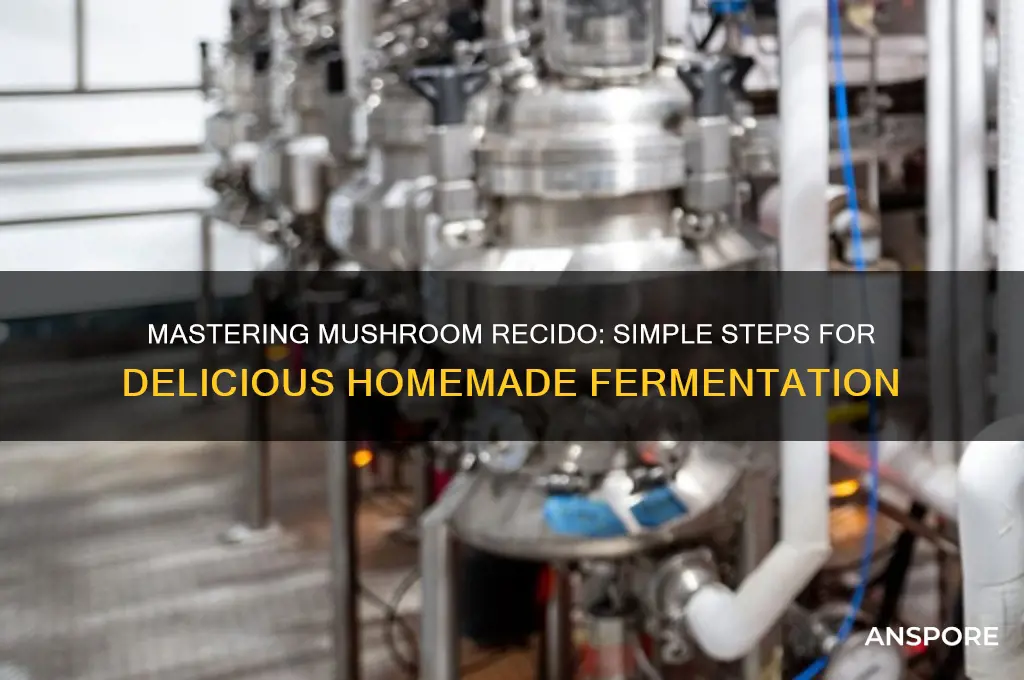 how to make mushroom recido