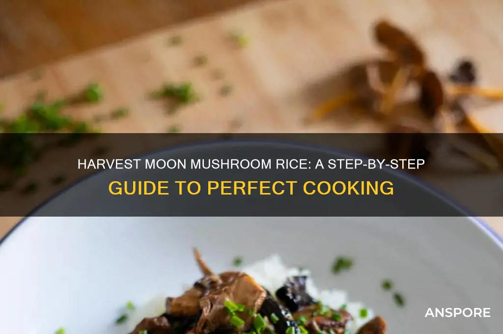how to make mushroom rice harvest moon