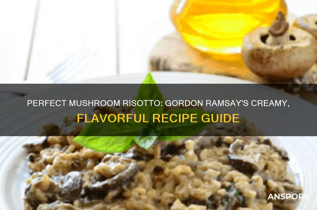 how to make mushroom risotto gordon ramsay
