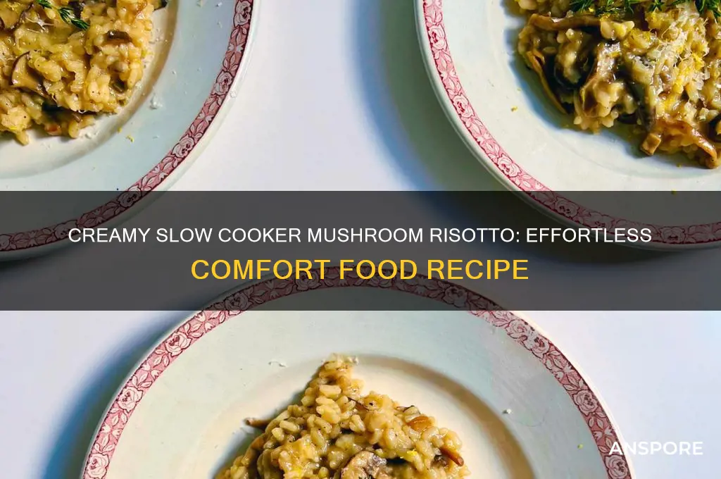 how to make mushroom risotto in a slow cooker
