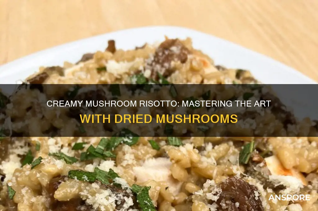 how to make mushroom risotto with dried mushrooms