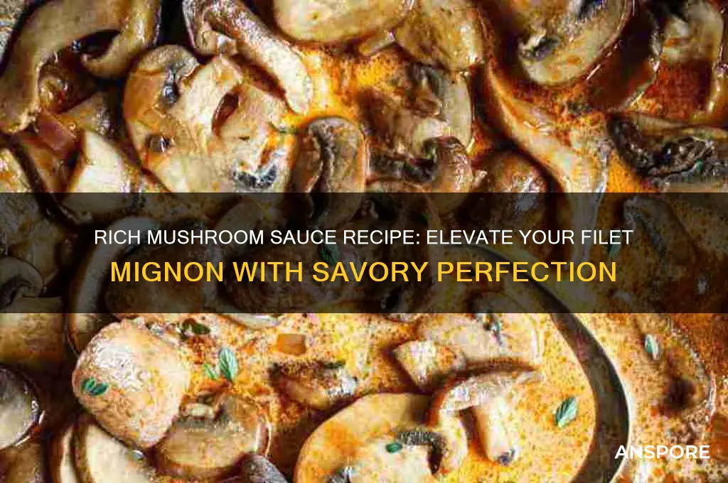 how to make mushroom sauce for filet mignon