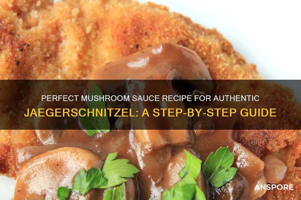 how to make mushroom sauce for jaegerschnitzel