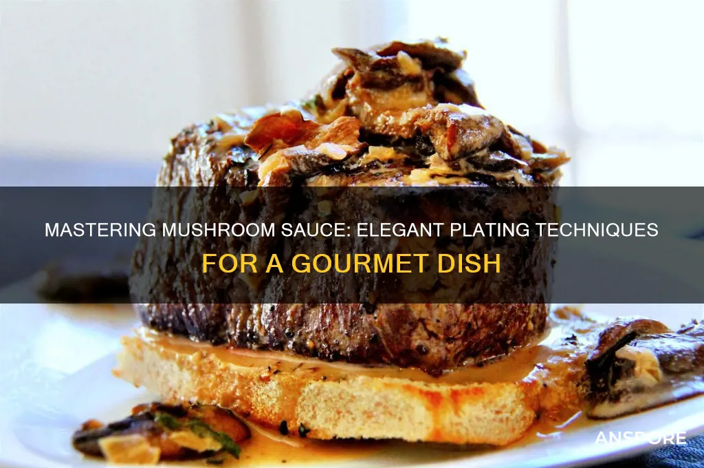 how to make mushroom sauce plate up