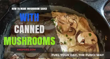 Easy Creamy Mushroom Sauce Recipe Using Canned Mushrooms