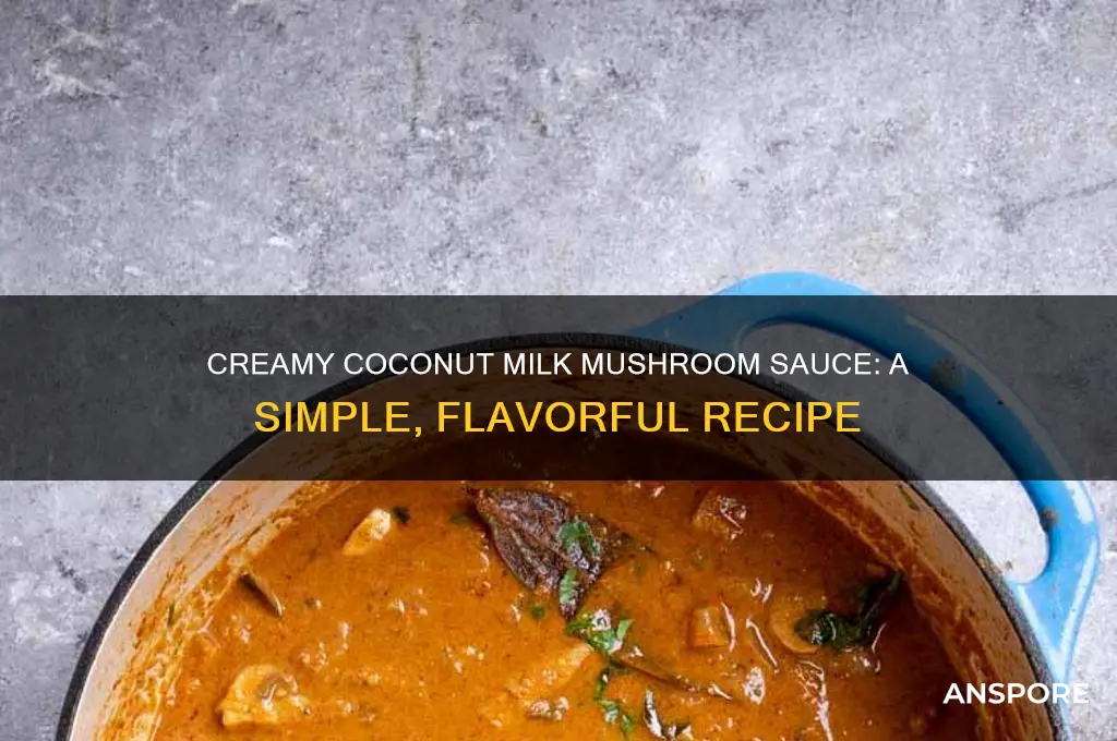 how to make mushroom sauce with coconut milk
