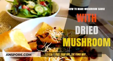 Rich & Savory Mushroom Sauce: Mastering Dried Mushroom Techniques