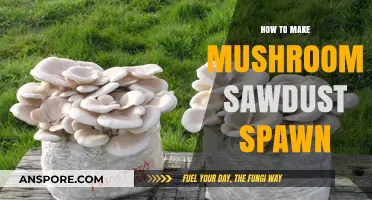 Mastering Mushroom Cultivation: Crafting Sawdust Spawn Step-by-Step Guide