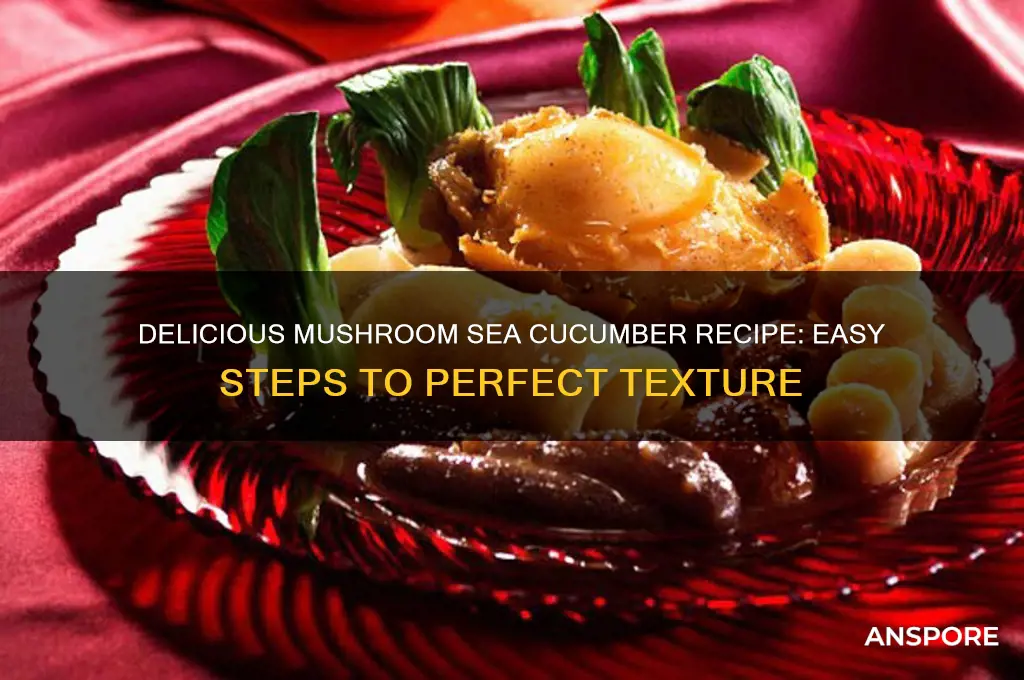 how to make mushroom sea cucumber