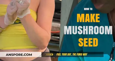 Mastering Mushroom Cultivation: A Step-by-Step Guide to Making Mushroom Spawn