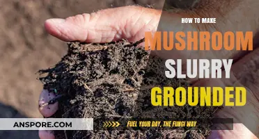 Mastering Mushroom Slurry: A Step-by-Step Guide to Perfectly Grounded Mix