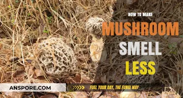 Reduce Mushroom Odor: Simple Tips for a Fresher Kitchen Experience
