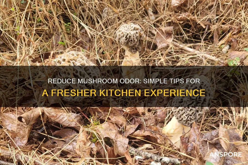 how to make mushroom smell less