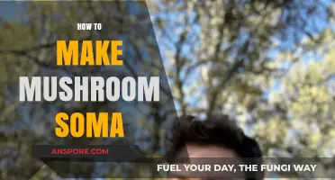Crafting Mushroom Soma: A Step-by-Step Guide to Homemade Fermentation