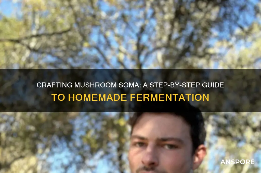 how to make mushroom soma
