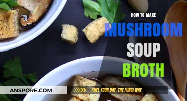 Crafting Rich Mushroom Soup Broth: Simple Steps for Flavorful Results