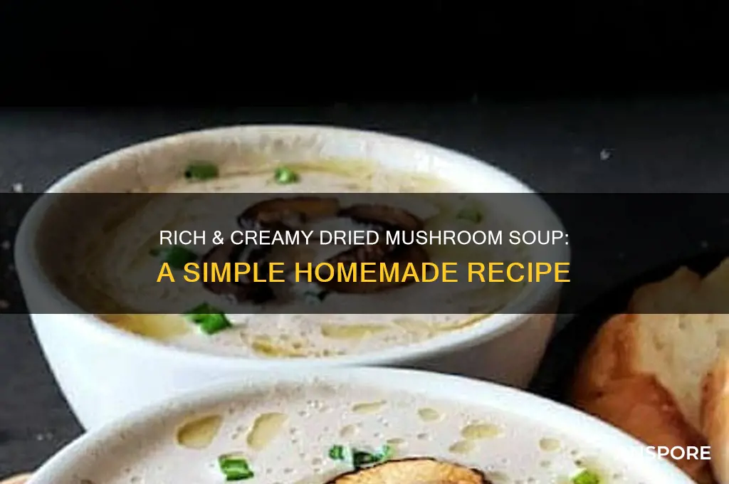how to make mushroom soup from dried mushrooms