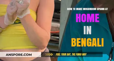 ঘরে মাশরুম স্পঃ তৈরির সহজ পদ্ধতি ও প্রক্রিয়া
