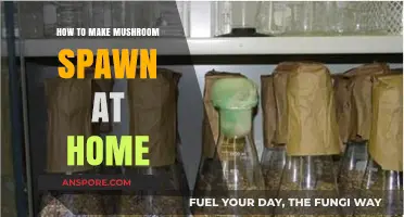DIY Mushroom Spawn: Simple Steps for Home Cultivation Success