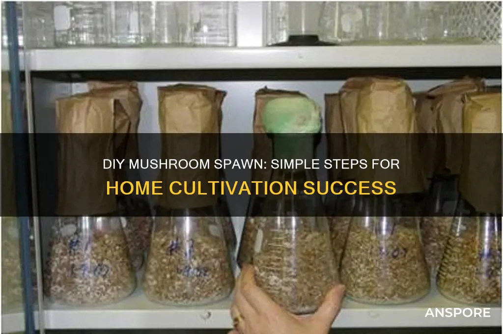 how to make mushroom spawn at home