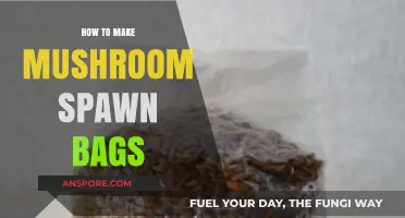 Mastering Mushroom Spawn Bags: A Step-by-Step DIY Guide