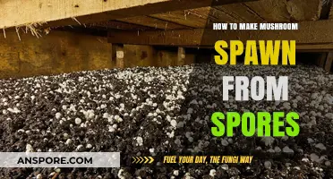 Mastering Mushroom Cultivation: Crafting Spawn from Spores Step-by-Step