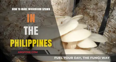 DIY Mushroom Spawn Production Guide for Filipino Farmers