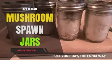 Mastering Mushroom Spawn Jars: A Step-by-Step DIY Guide