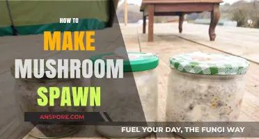 Mastering Mushroom Spawn: A Step-by-Step Guide to DIY Cultivation