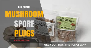 Crafting Mushroom Spore Plugs: A Step-by-Step Guide for Beginners